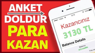 Anket Doldurarak Para Kazanma